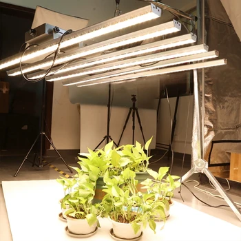 Kısılabilir 6 8 Bar kuantum ışık kurulu büyümeye yol açtı Samsung LM301B Tam Spektrum bitki büyüyen iç mekan lambası bitkiler sera çadırı 0
