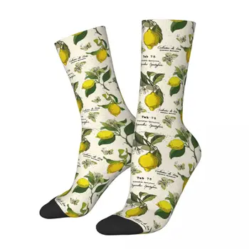 Yeni erkek Çorap Harajuku Limon Meyve Çorap Grafik kadın Çorap İlkbahar Yaz Sonbahar Kış