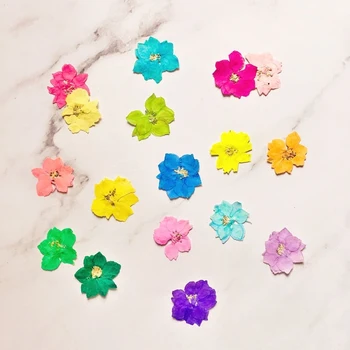 40 adet Karışık Preslenmiş Kurutulmuş Çiçek Gaura Lindheimeri Herbaryum Yer İmi Prop Takı Kartpostal Davetiye Kartı telefon kılıfı DIY